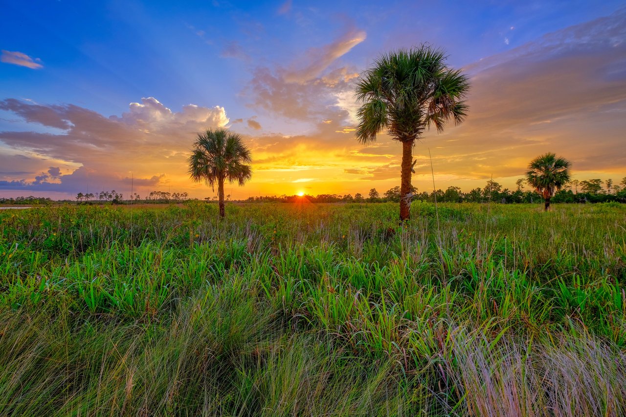 Loxahatchee Groves