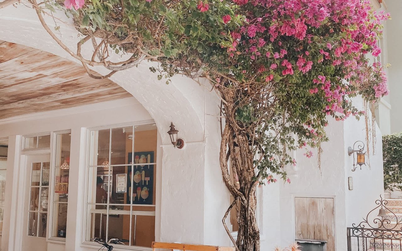 Palm Beach Area Vendors