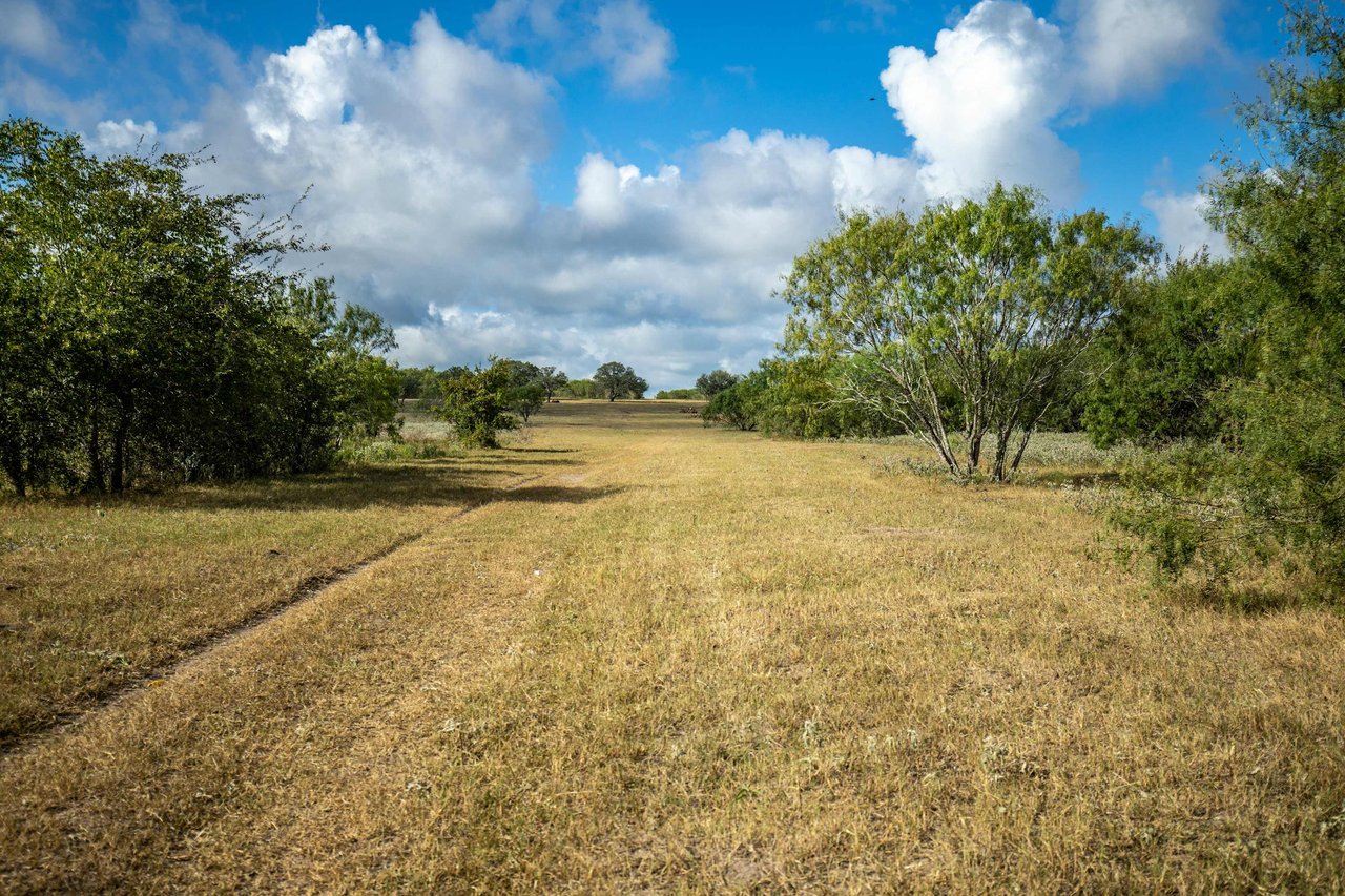The Poco Loco | 278± Acres | DeWitt County