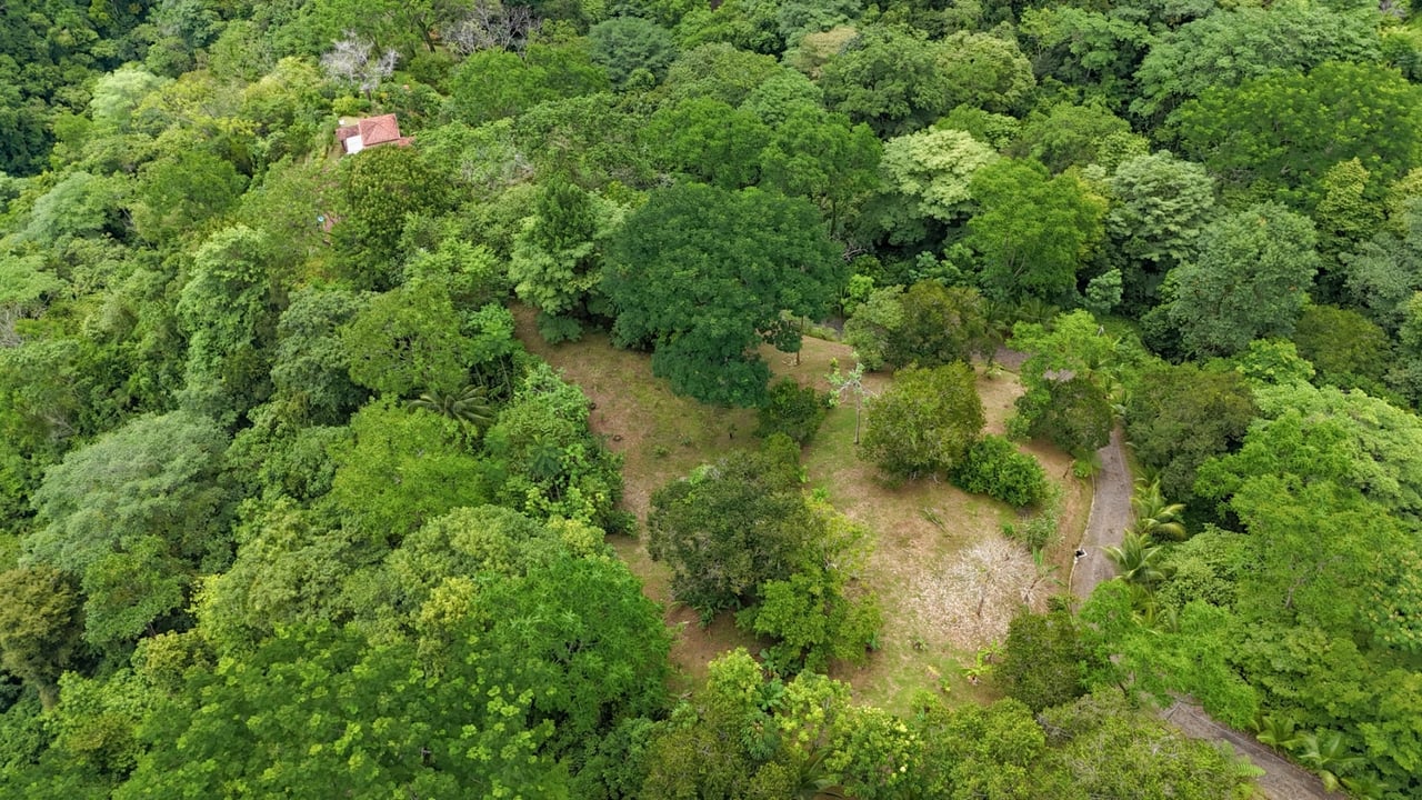 Waterfall Orchard Jungle Estate, Ojochal, Puntarenas