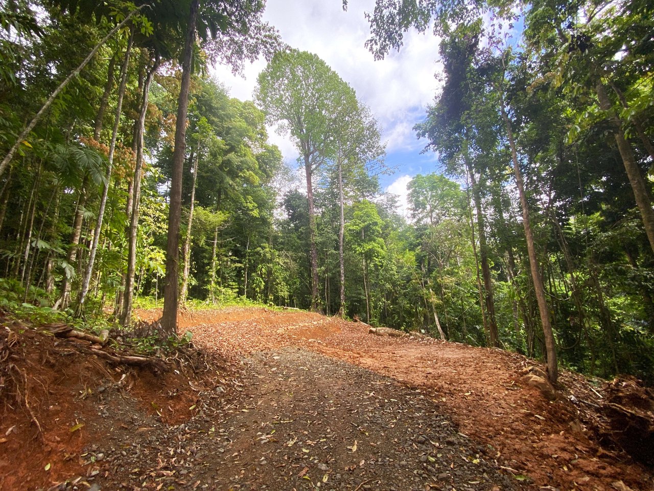 5.77 Acres With 4 Building Sites. Ocean Views, Rivers And Rainforest Abound In Cinco Ventanas! Ojochal 