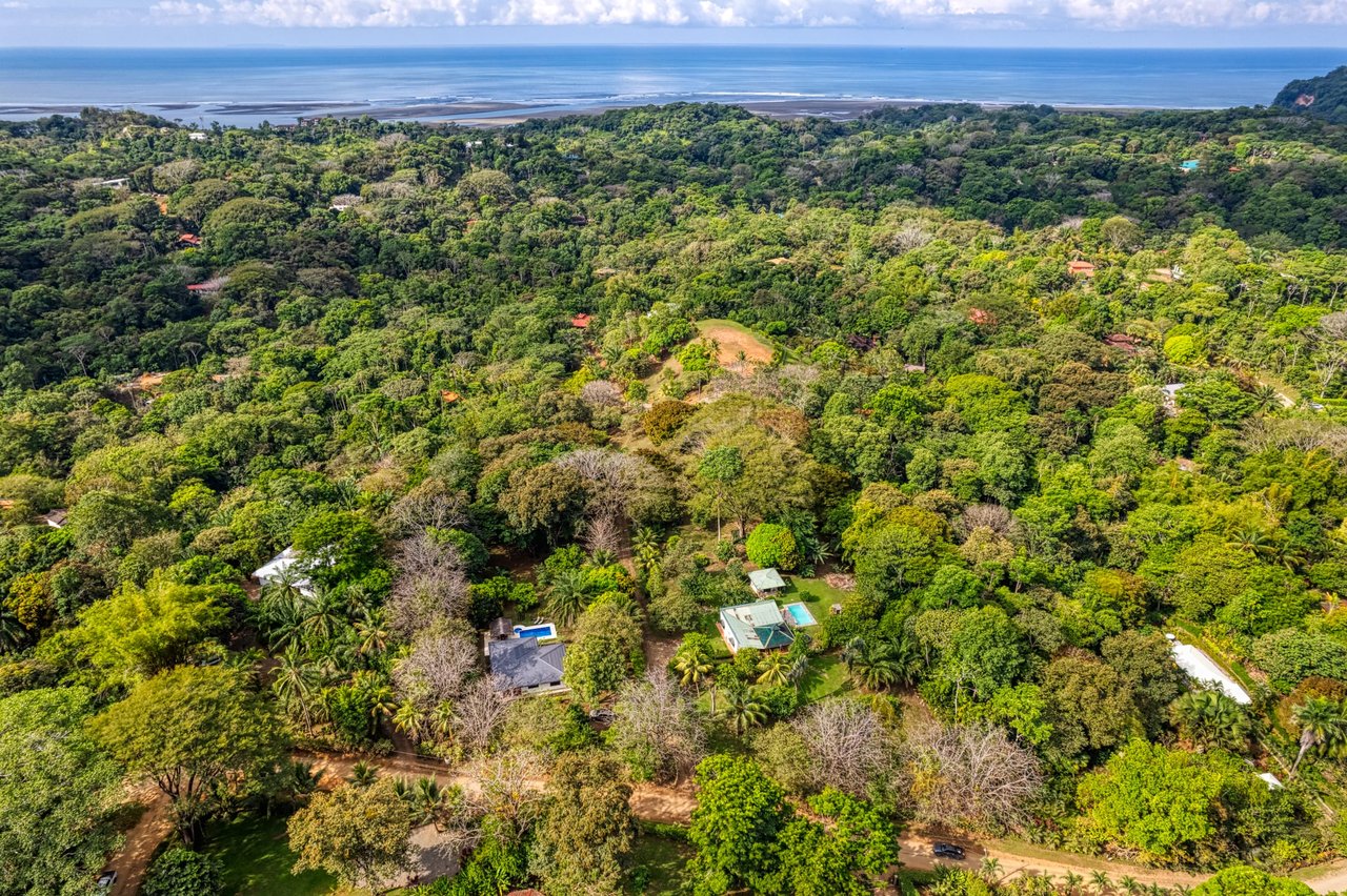 Tranquil Home with Fruit Trees and Space for Several Casitas