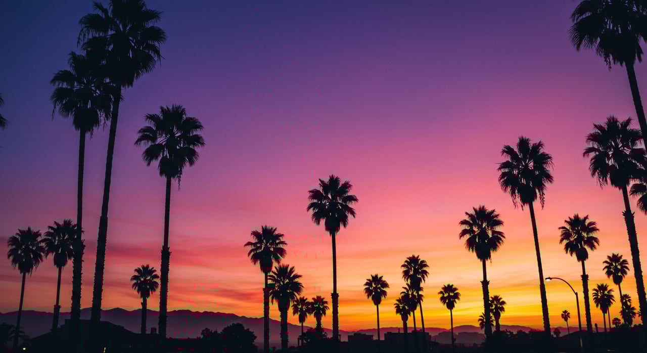 An Adu for You and You and You!