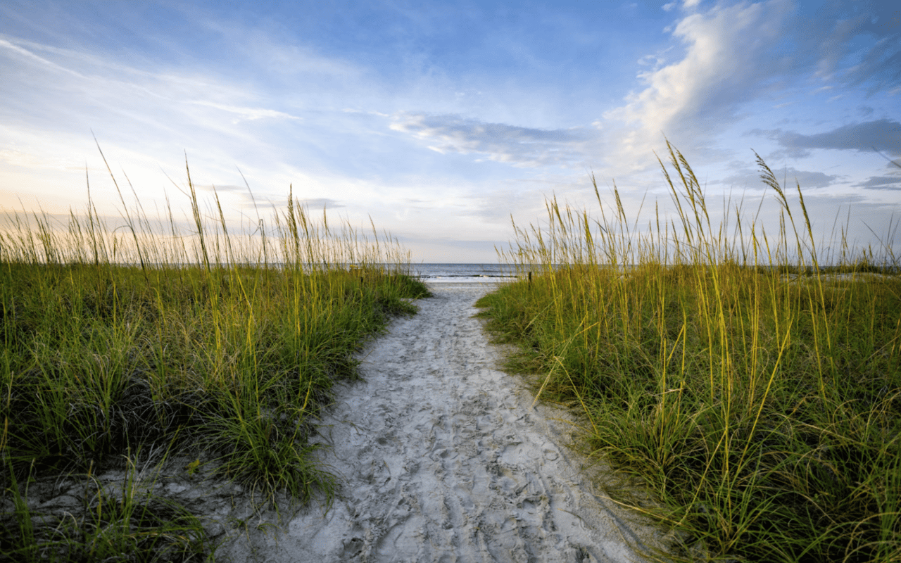 Everything You Need to Know About Moving to Hilton Head Island