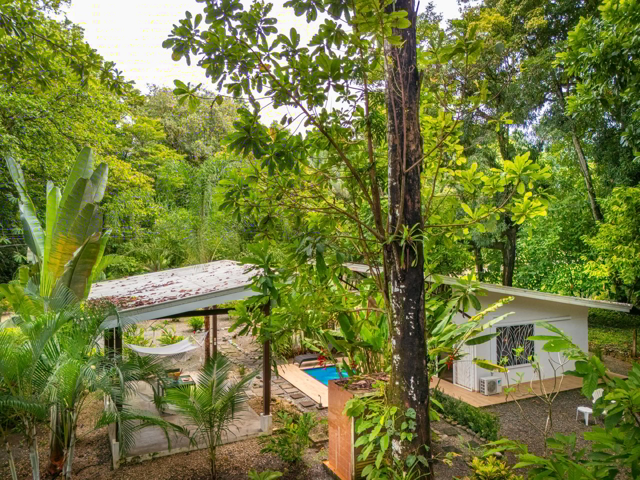 Coastal Canopy Retreat