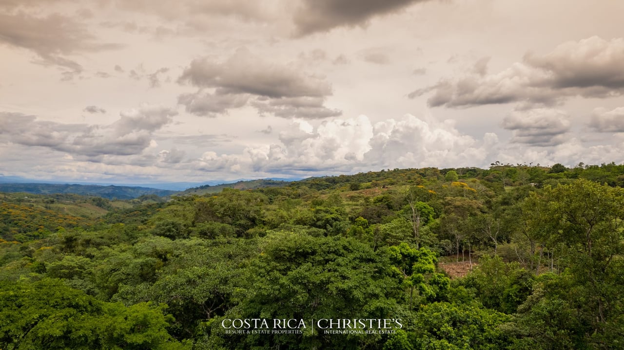 Finca Buenos Aires