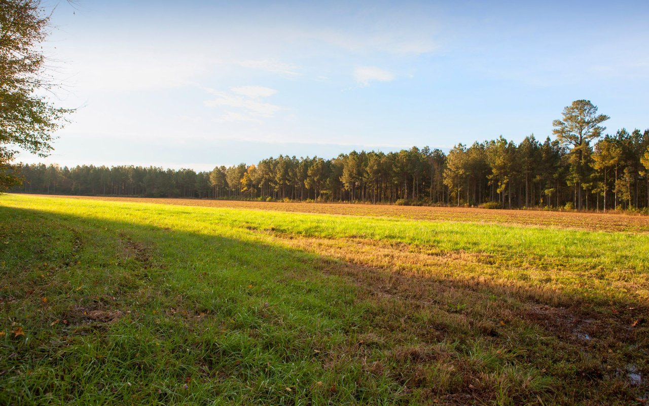 Investing in Rural North Carolina Land