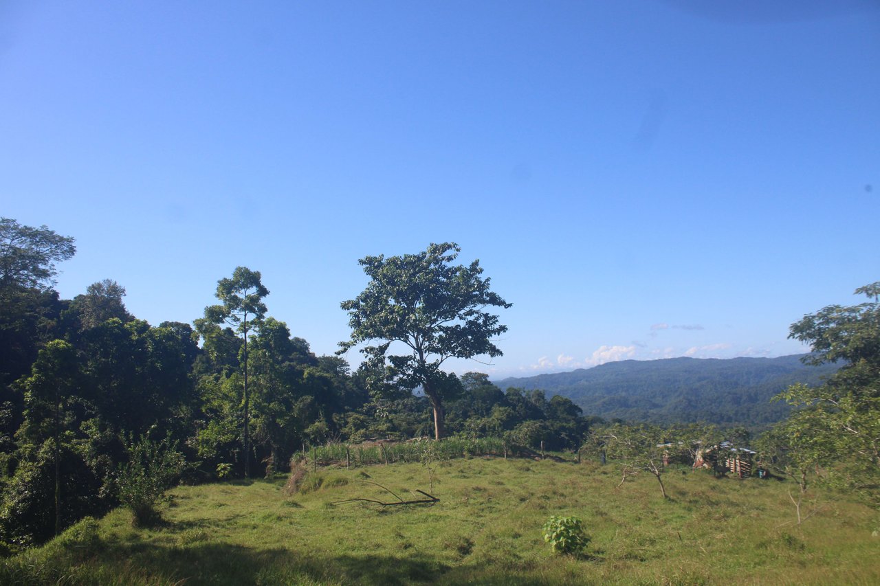90 acre Farm, Inexpensive with lots of potential close to Rio Claro