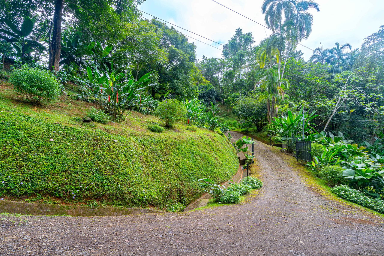 Cascada Sandalo View Stopper