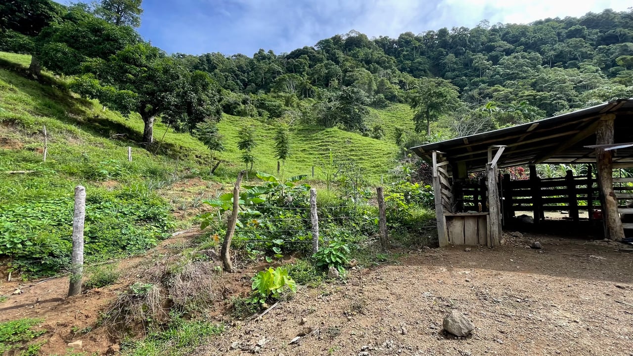 Stunning Ocean View Farm in San Luis de Morete, Over 23 Acres