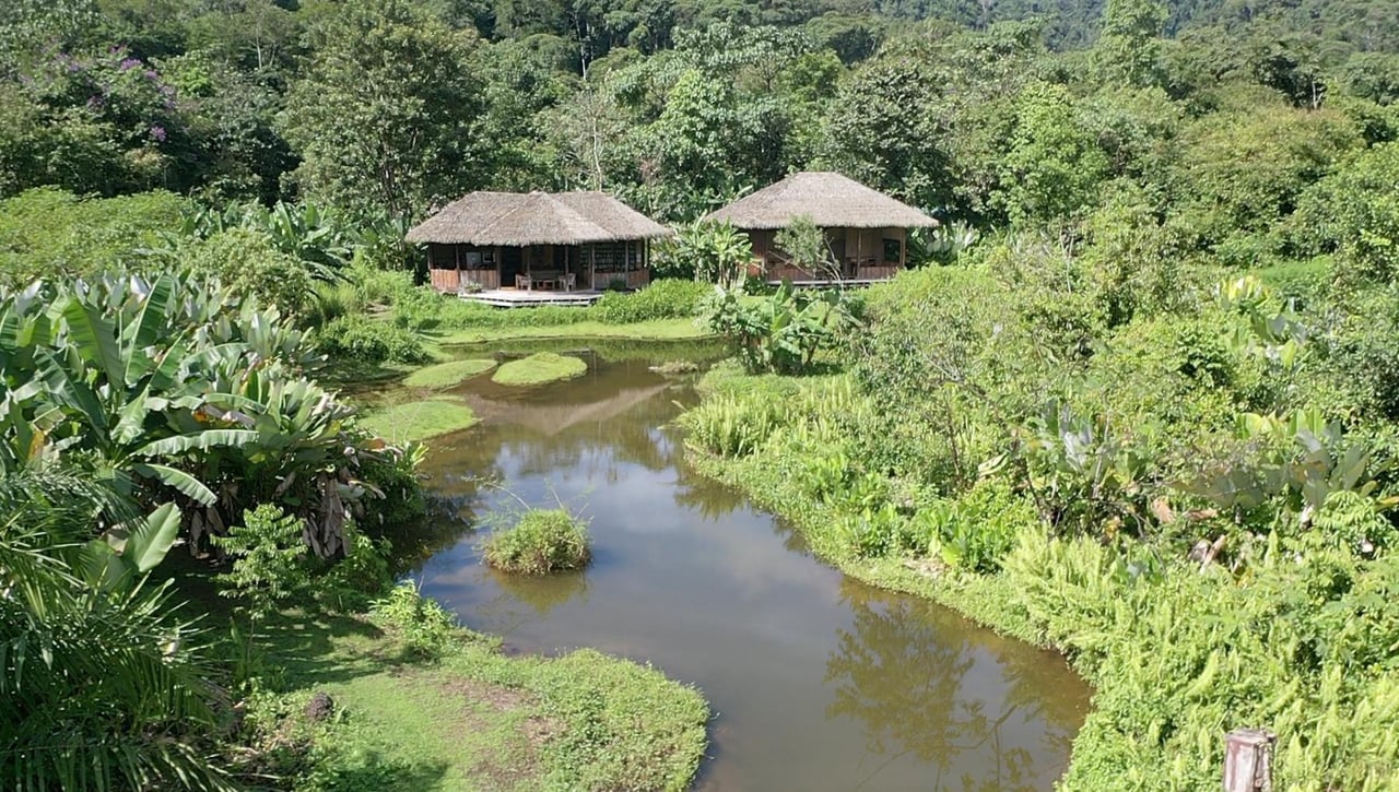 Sustainable Conservation Retreat, Osa, Puntarenas