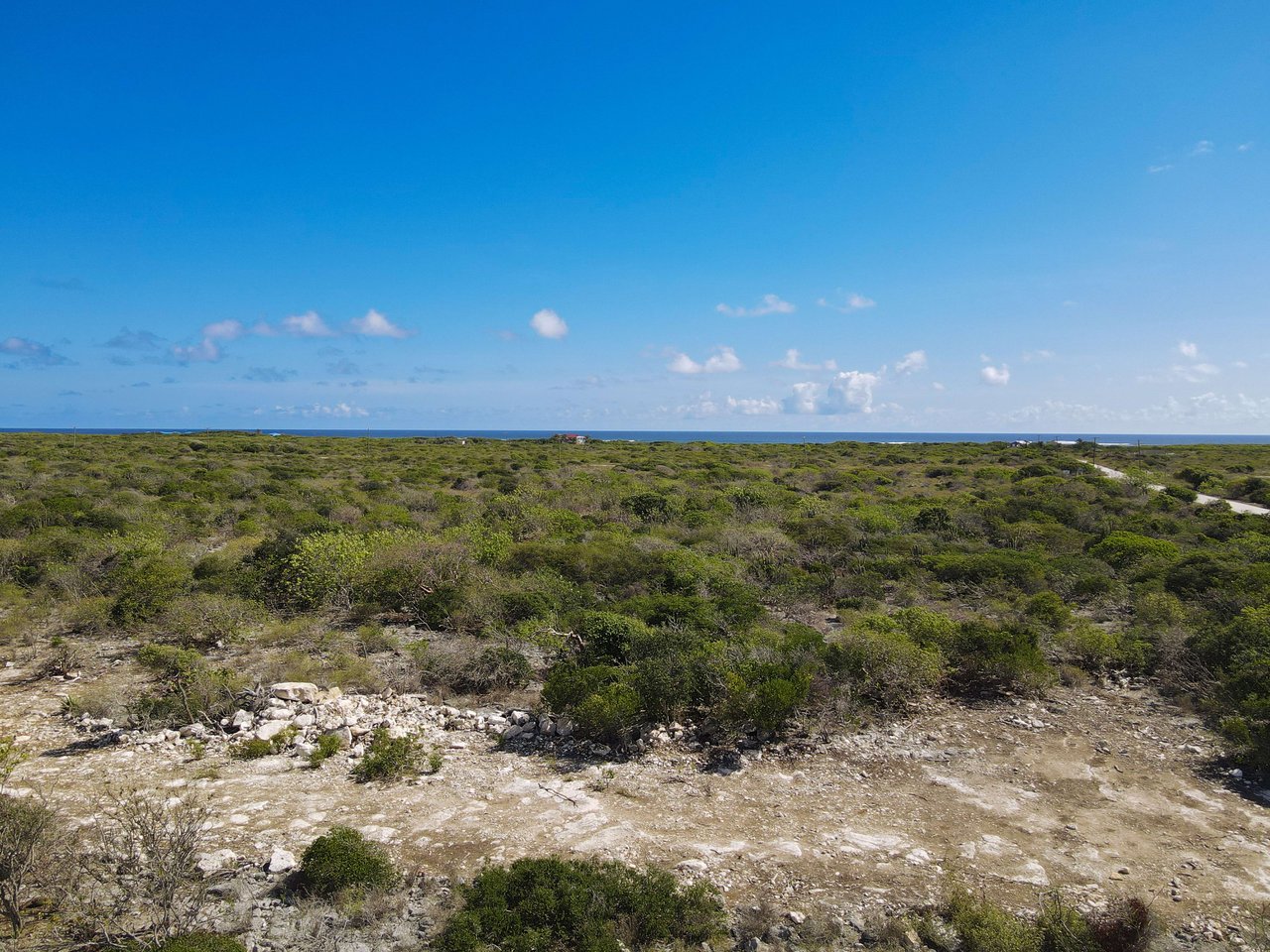 780 .575 Acres at Loblolly Bay