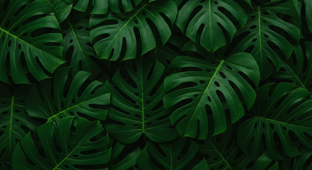 THE GREEN SHEET | NOV/DEC 2022