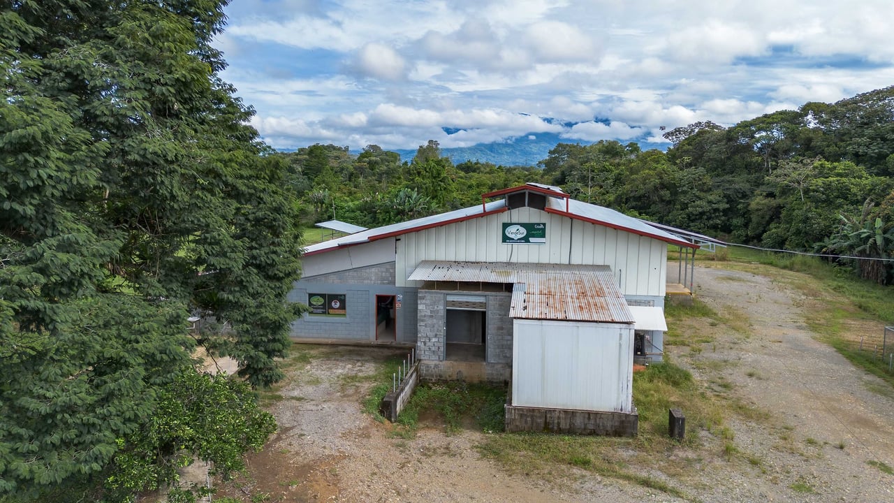 Industrial Plant for Sale in Pérez Zeledón, Costa Rica | 