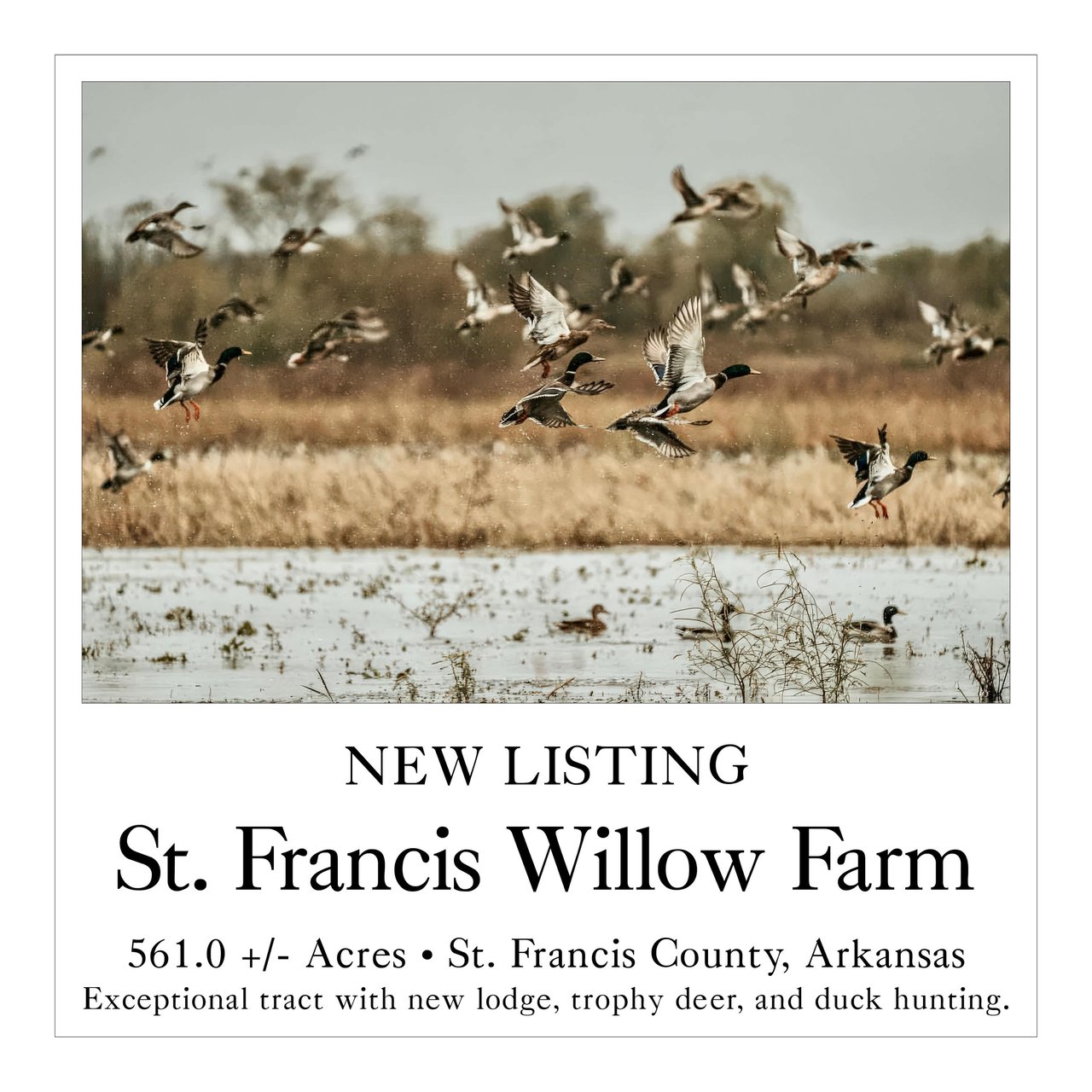 St. Francis Willow Farm