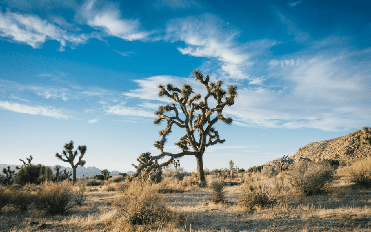 Group Experiences in Palm Springs, CA