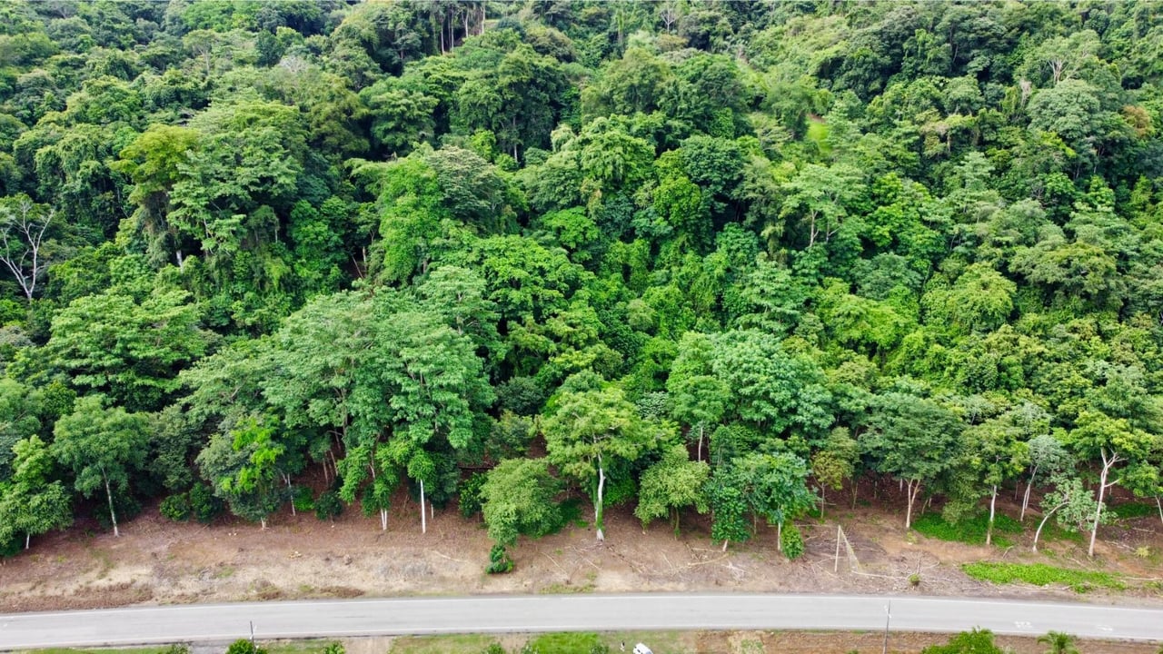 Flat Commercial Development Lot, Osa, Puntarenas