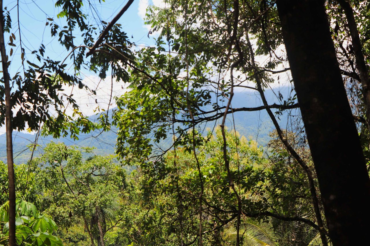 Over One Acre Attractive Lot on the Popular PEREZOSO Road.