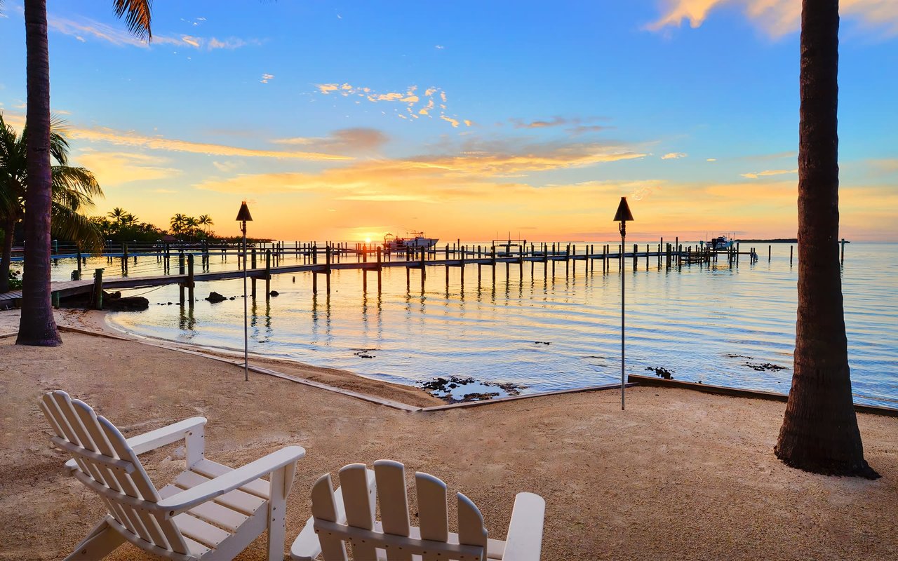 Discover 7 Day Trips From Key Largo