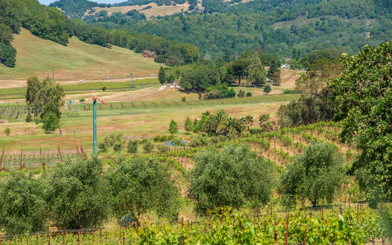 Lovall Valley Loop Road, Sonoma