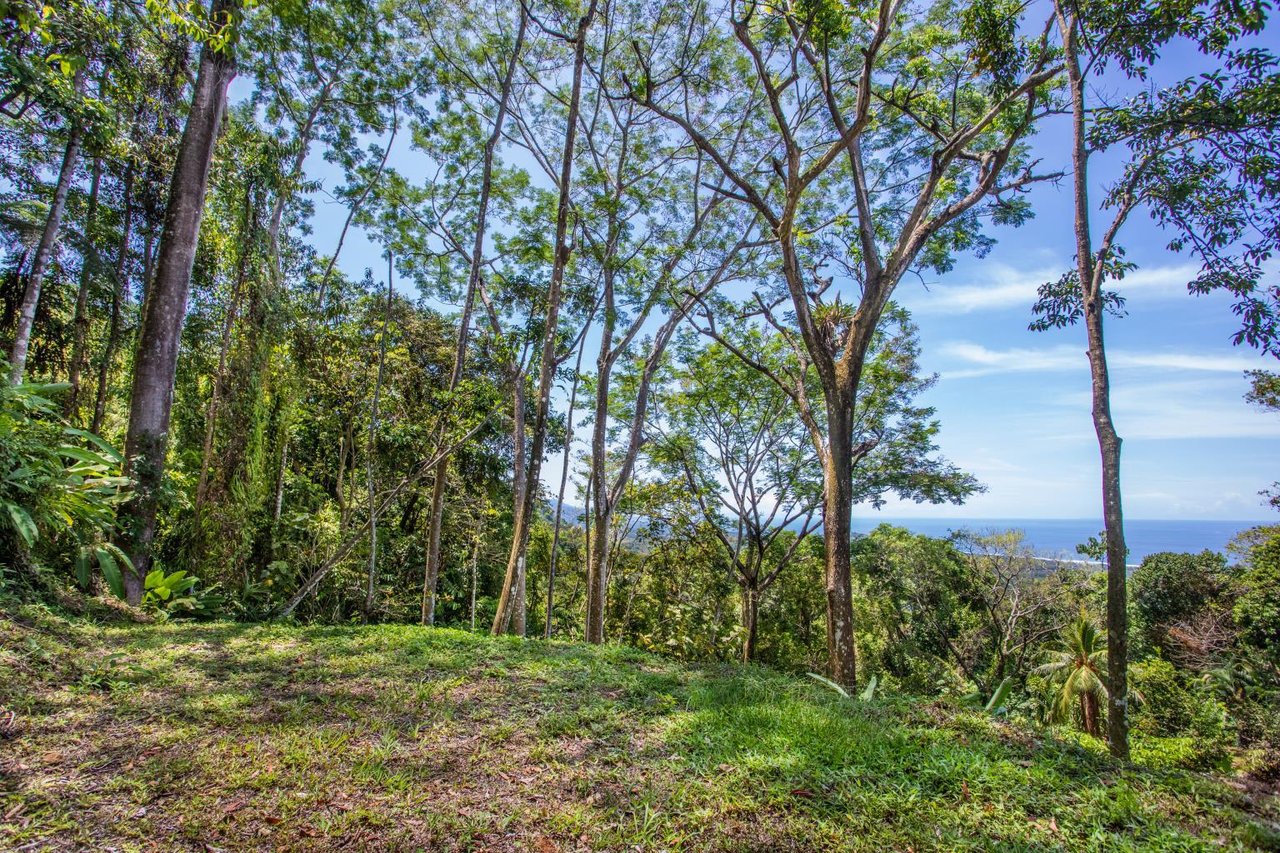 Incredible 7,000 Ft2 Ocean View Home With 200 Acre Reserve!