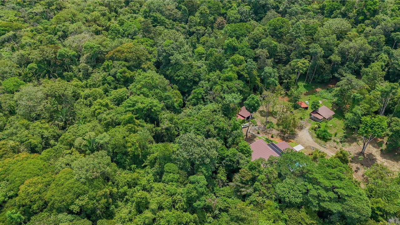 Riverside Jungle Acreage Estate, Ojochal, Puntarenas