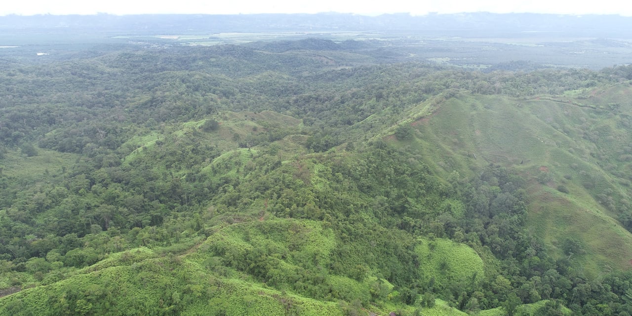 Rainforest Conservation Pasture Land, Osa, Puntarenas
