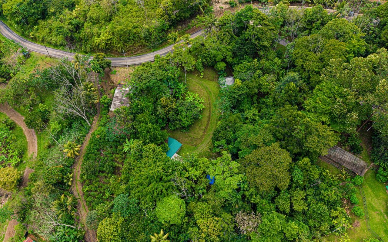 Off-Grid Regenerative Homestead, Perez Zeledon, San Jose