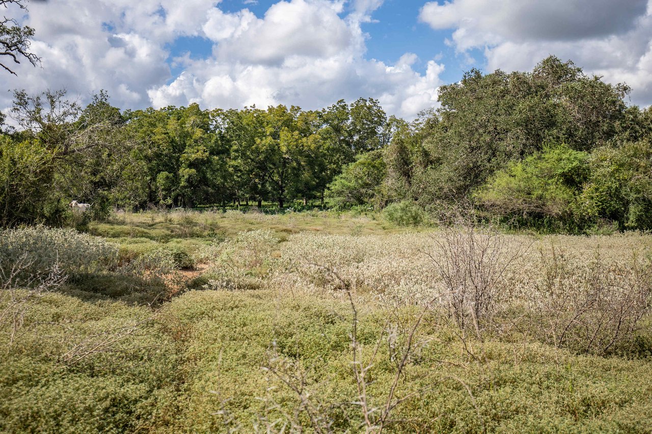 Lovers Lane River Ranch | 140± Acres | DeWitt County