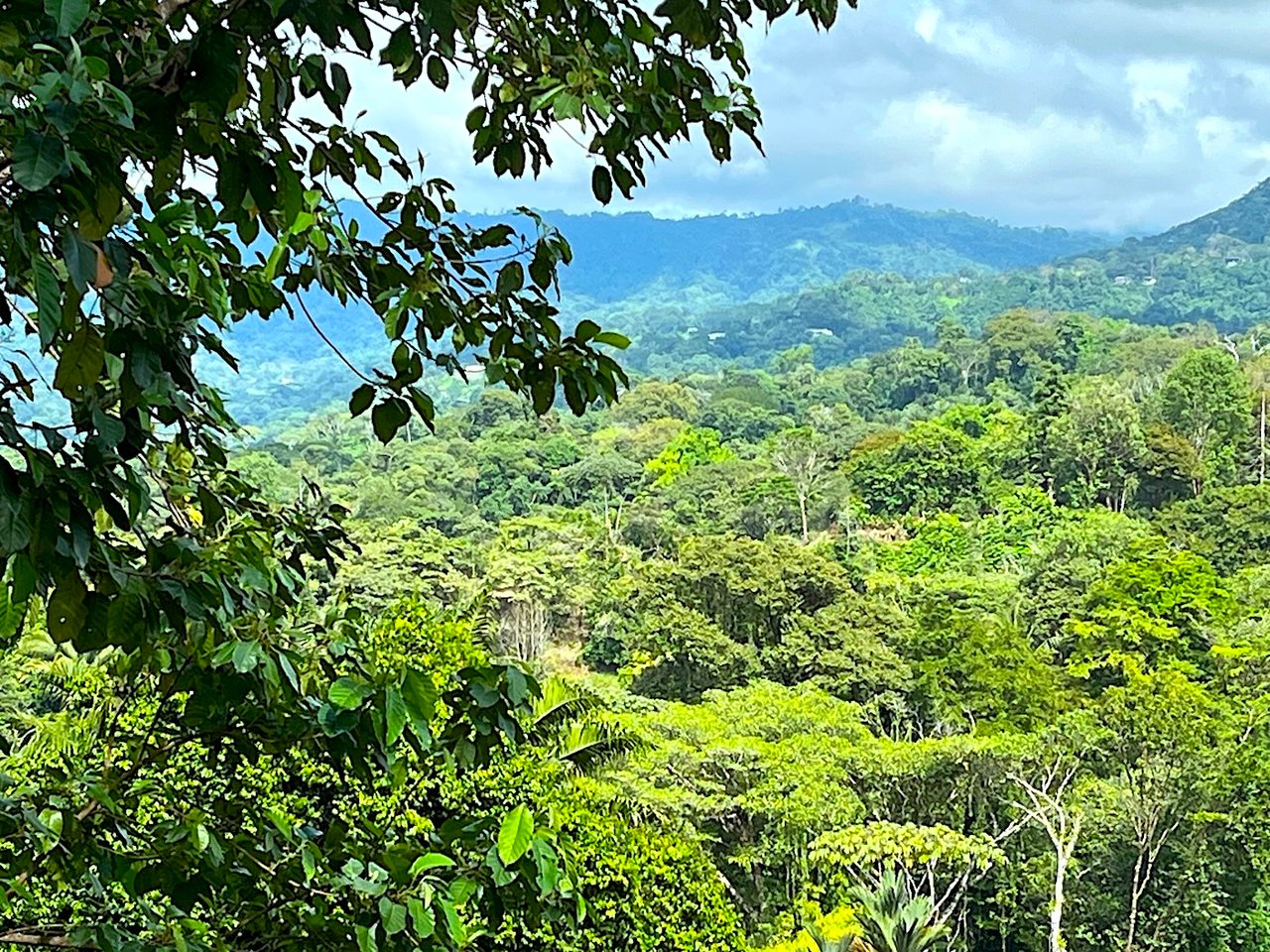 Luxury Development Land, Uvita, Puntarenas