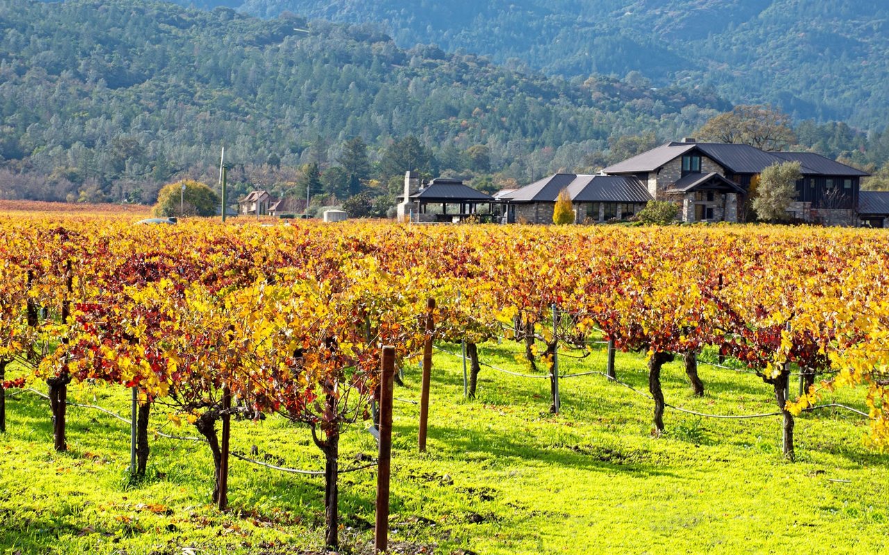 North Napa