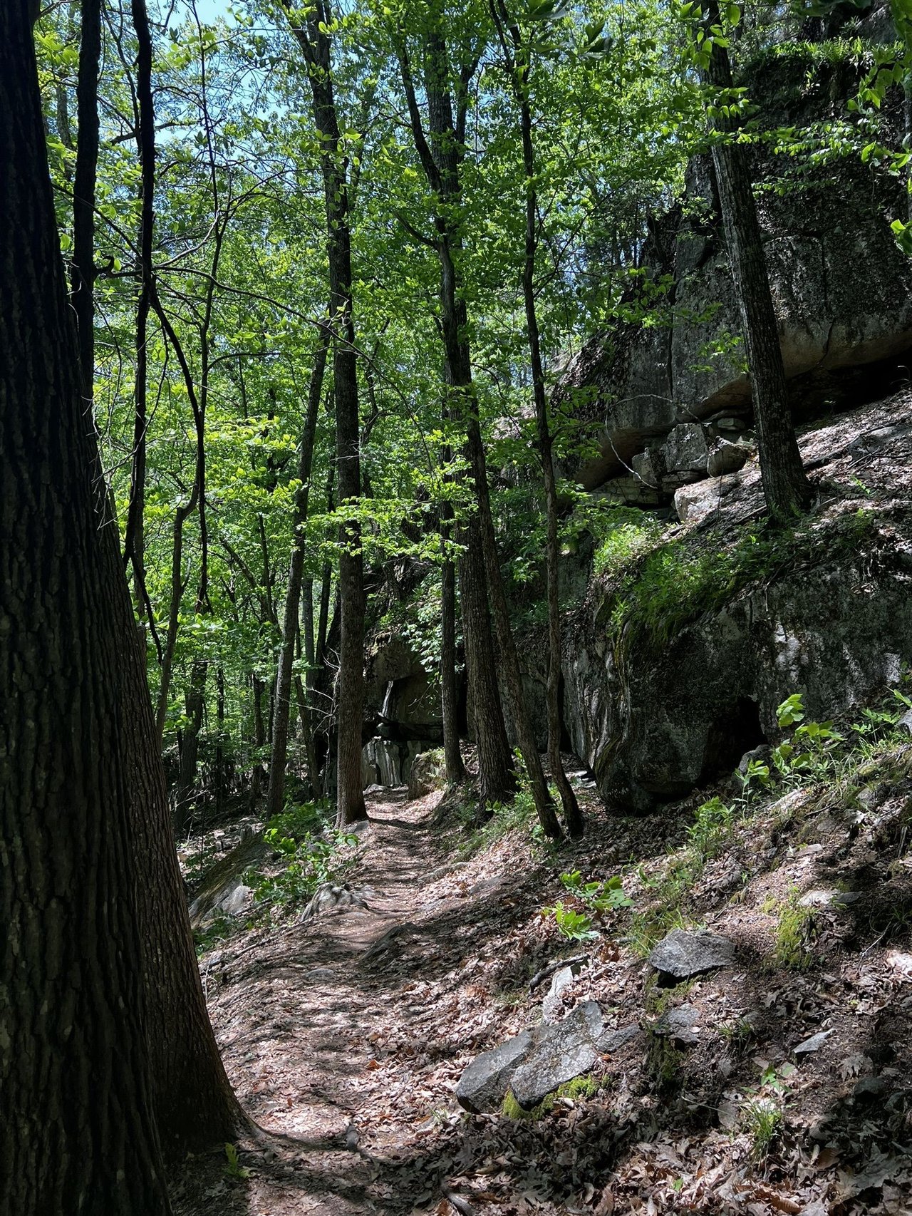 Swift River Trail