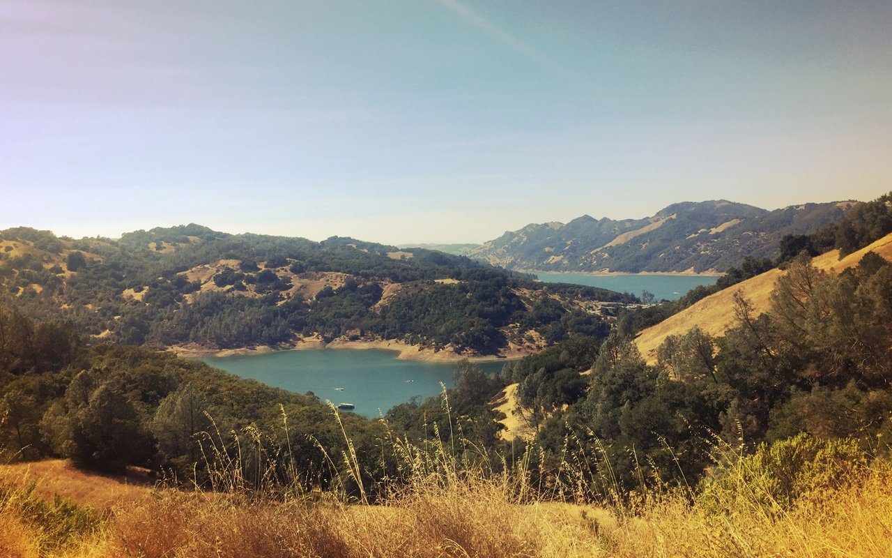 Tiburon | Belvedere