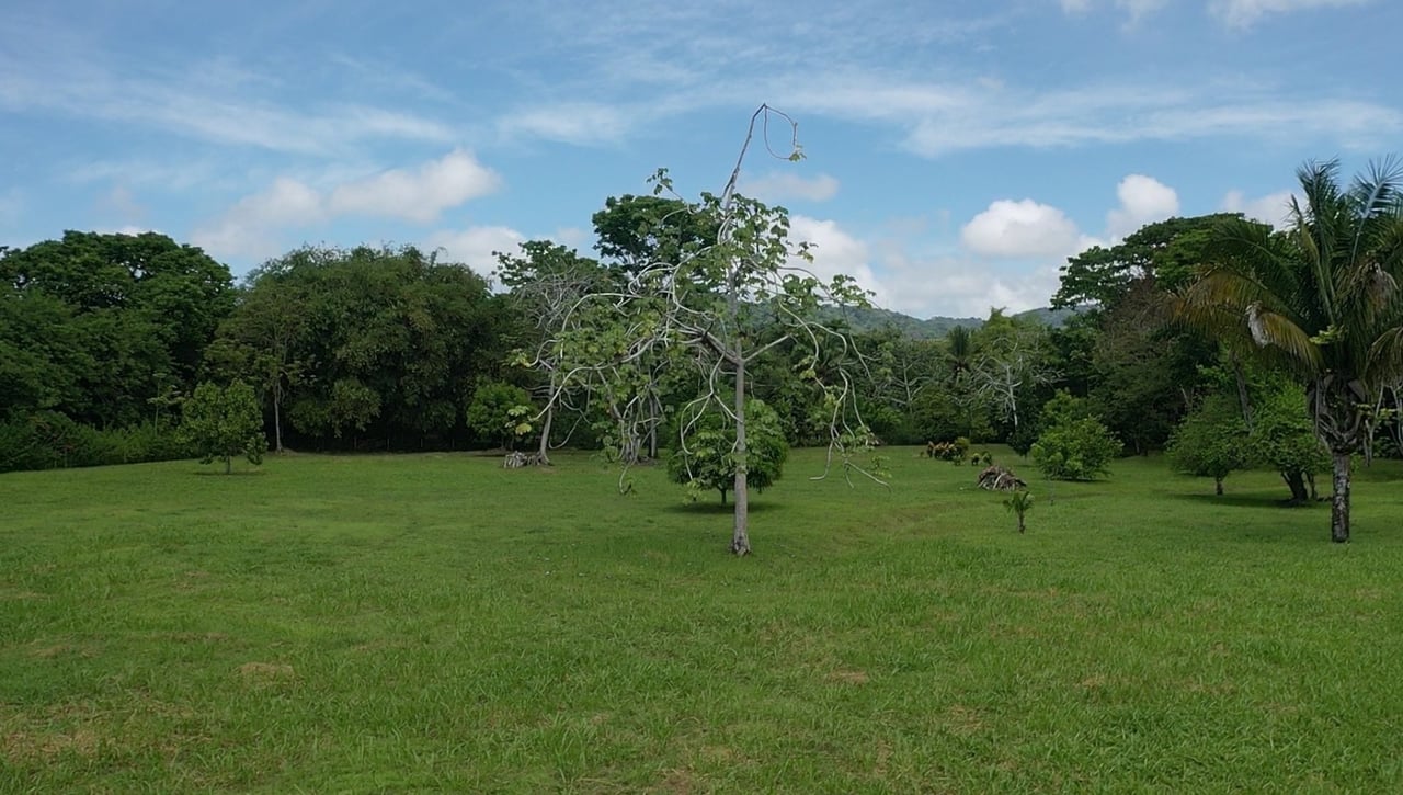 Titled Beachfront Development Land, Osa, Puntarenas