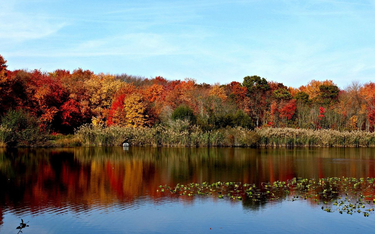 Massapequa Park