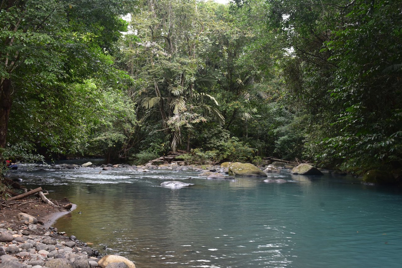 Villa Celeste Land | Embrace a unique 9-hectare Property along Rio Celeste