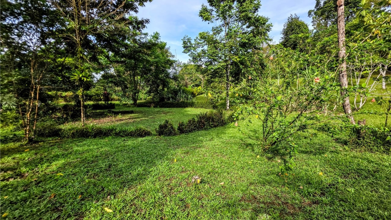 Rainforest Waterfall Acreage Estate, Dominical, Puntarenas