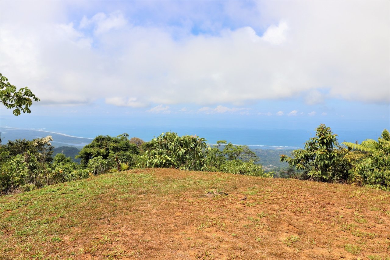Large Development Farm, Ojochal, Puntarenas