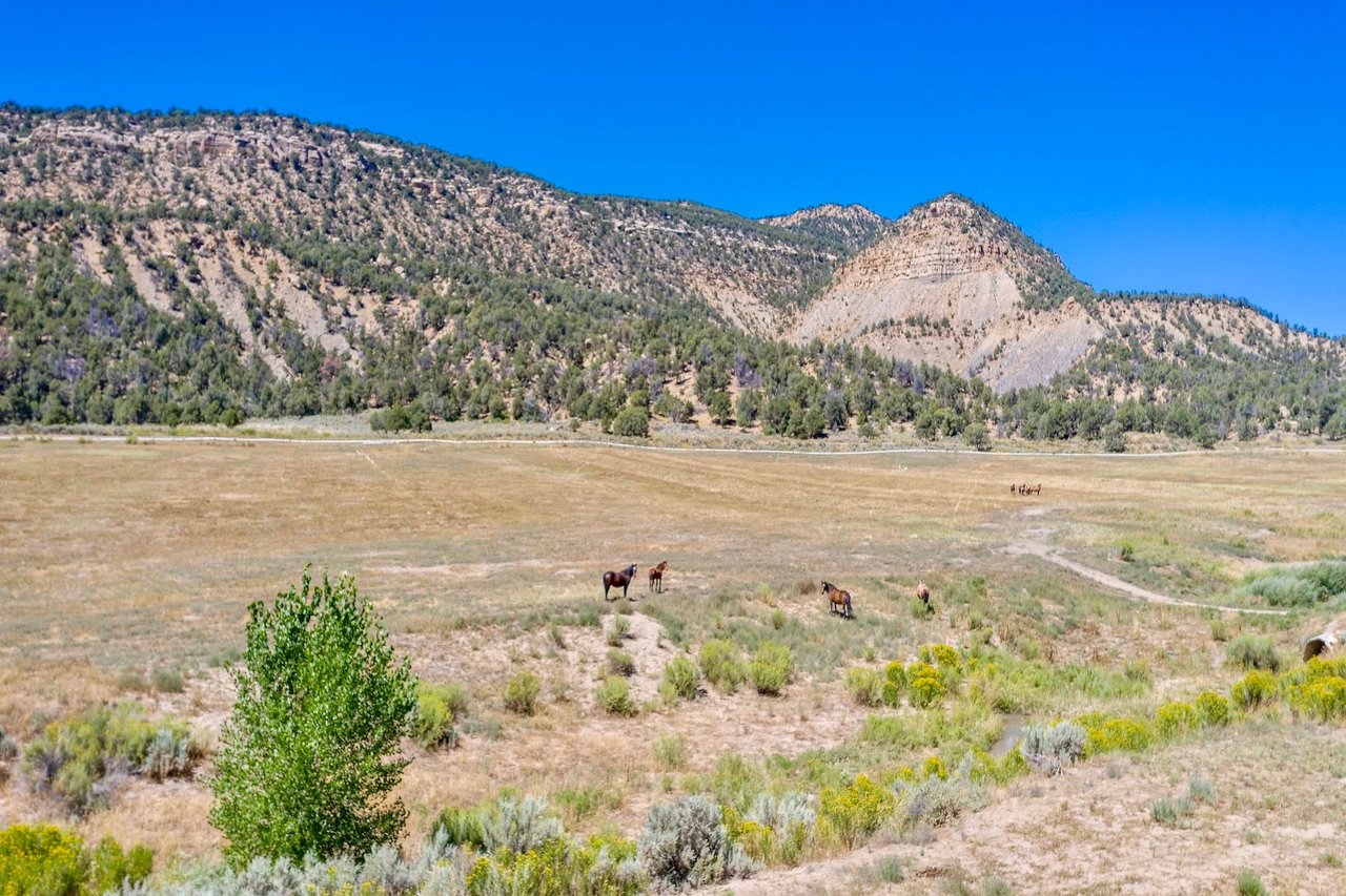 Weber Creek Ranch