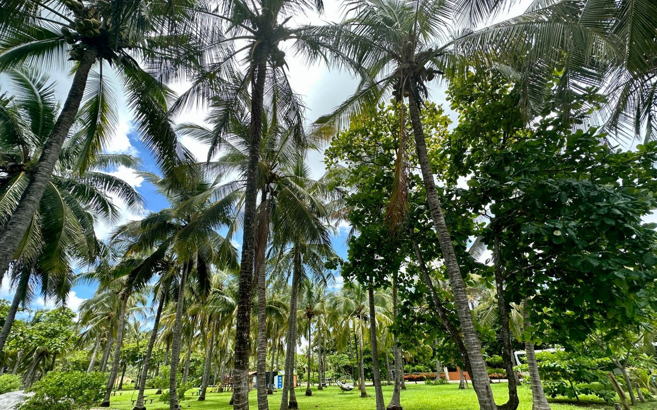 Playa Junquillal
