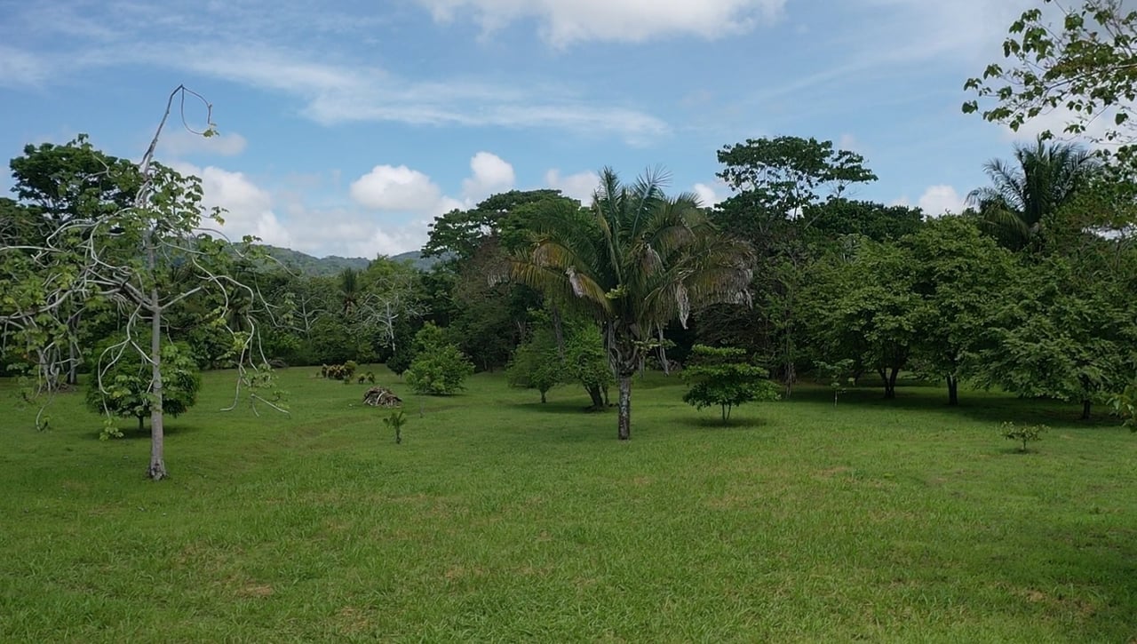 Titled Beachfront Development Land, Osa, Puntarenas