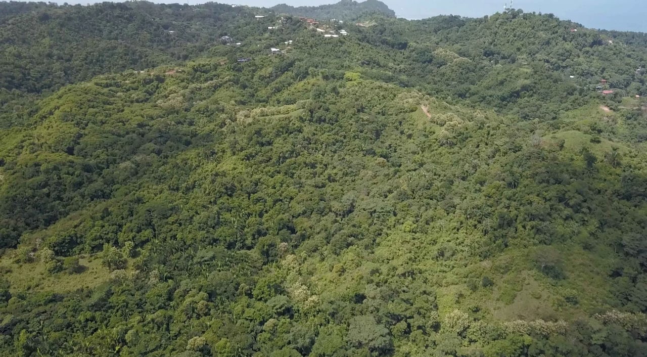 Ocean View Development Homesite, Manuel Antonio, Puntarenas