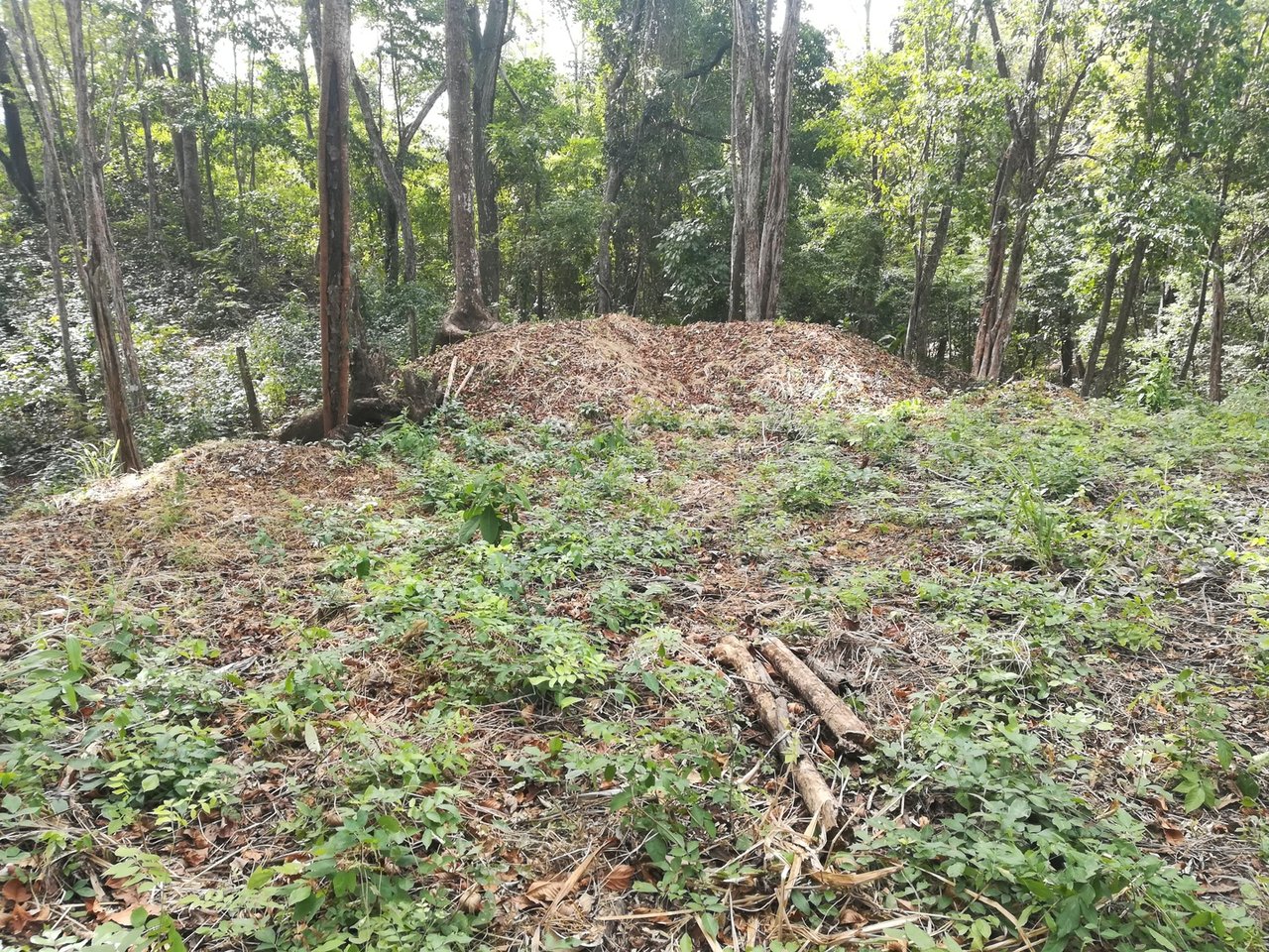 Distinguished Ocean View Development Acreage, Santa Teresa, Puntarenas