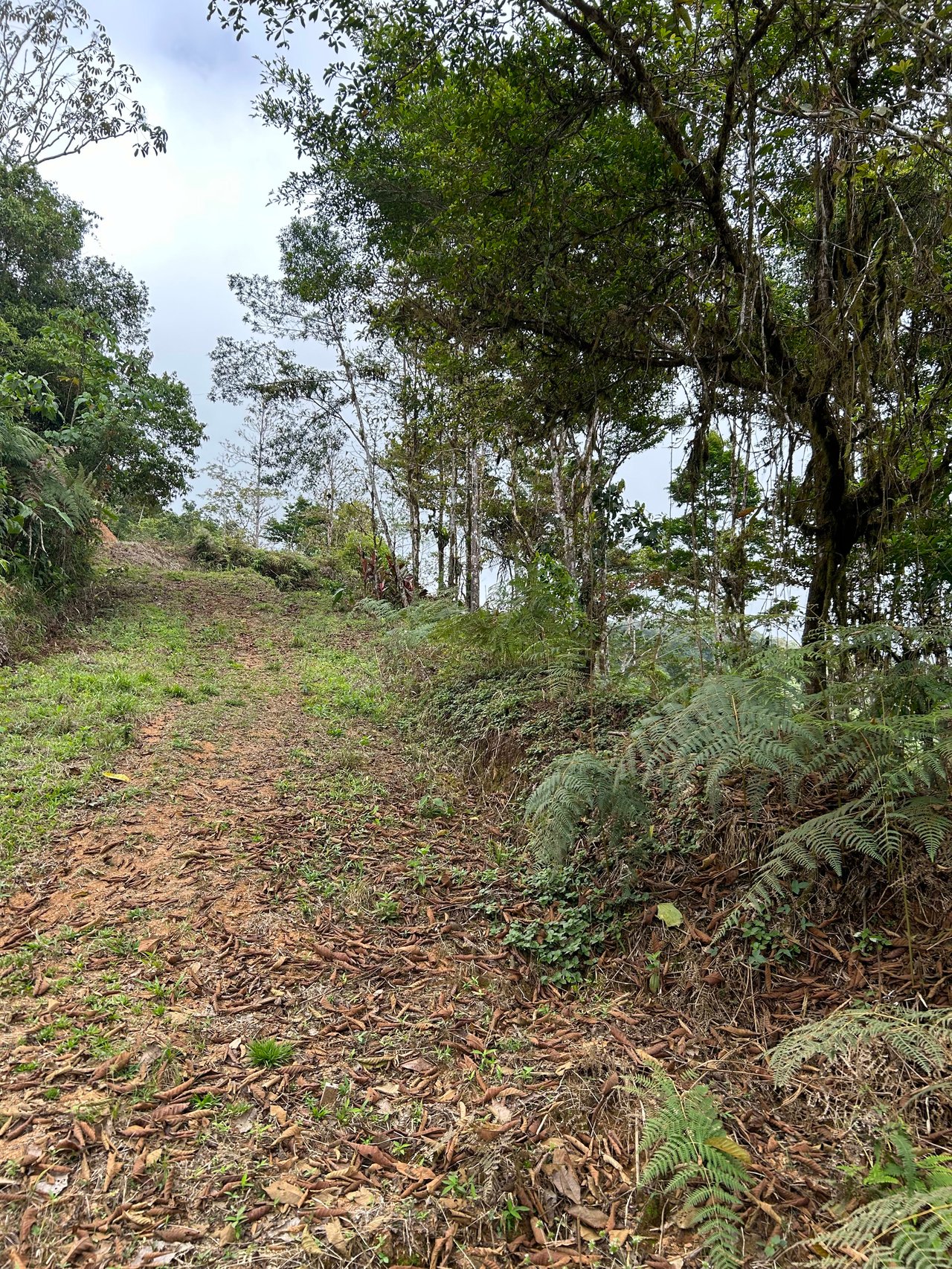 Whale Tail, Ocean & Mountain View lot in San Luis.