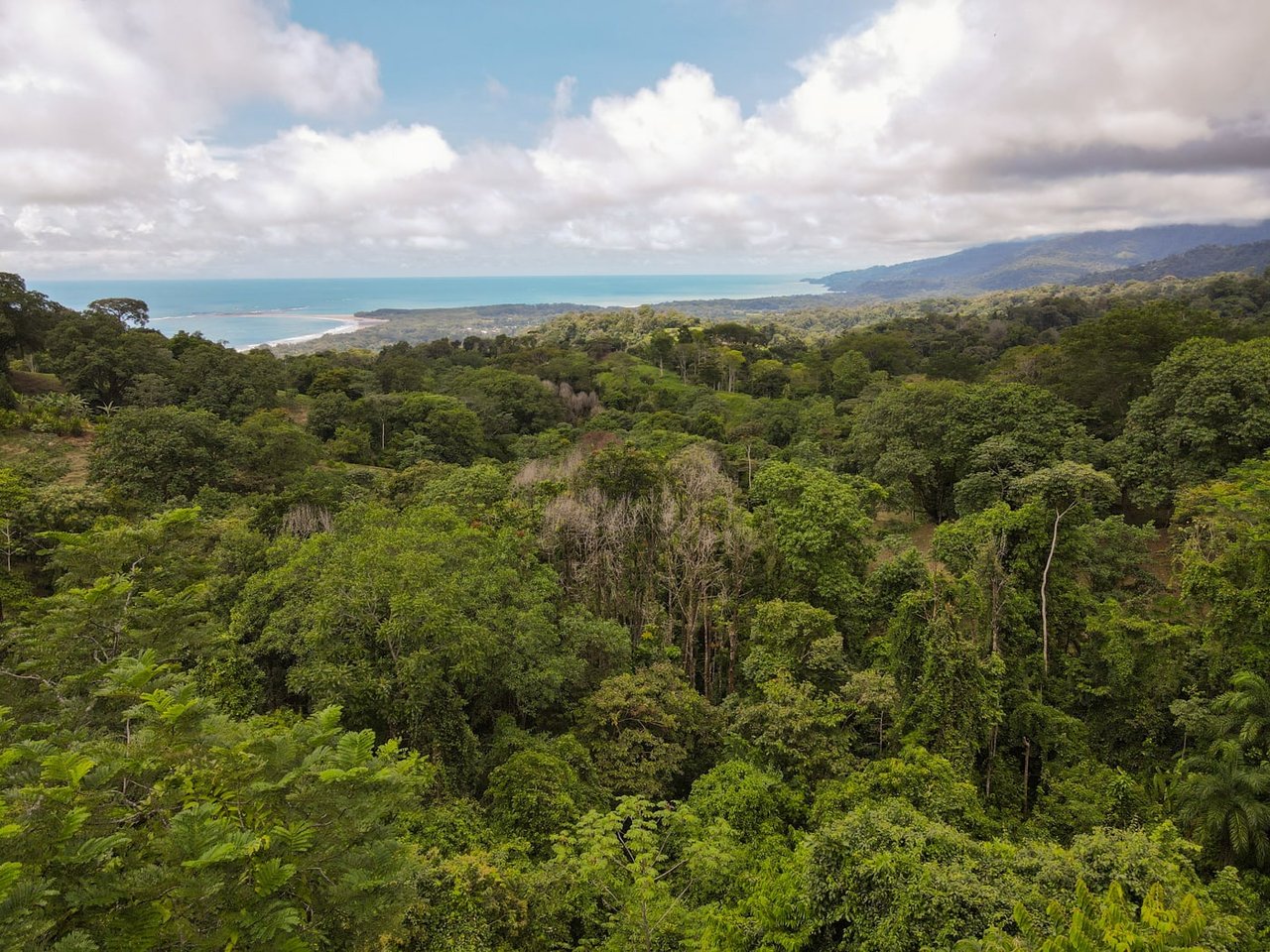 Casa Selva Sustainable Living 