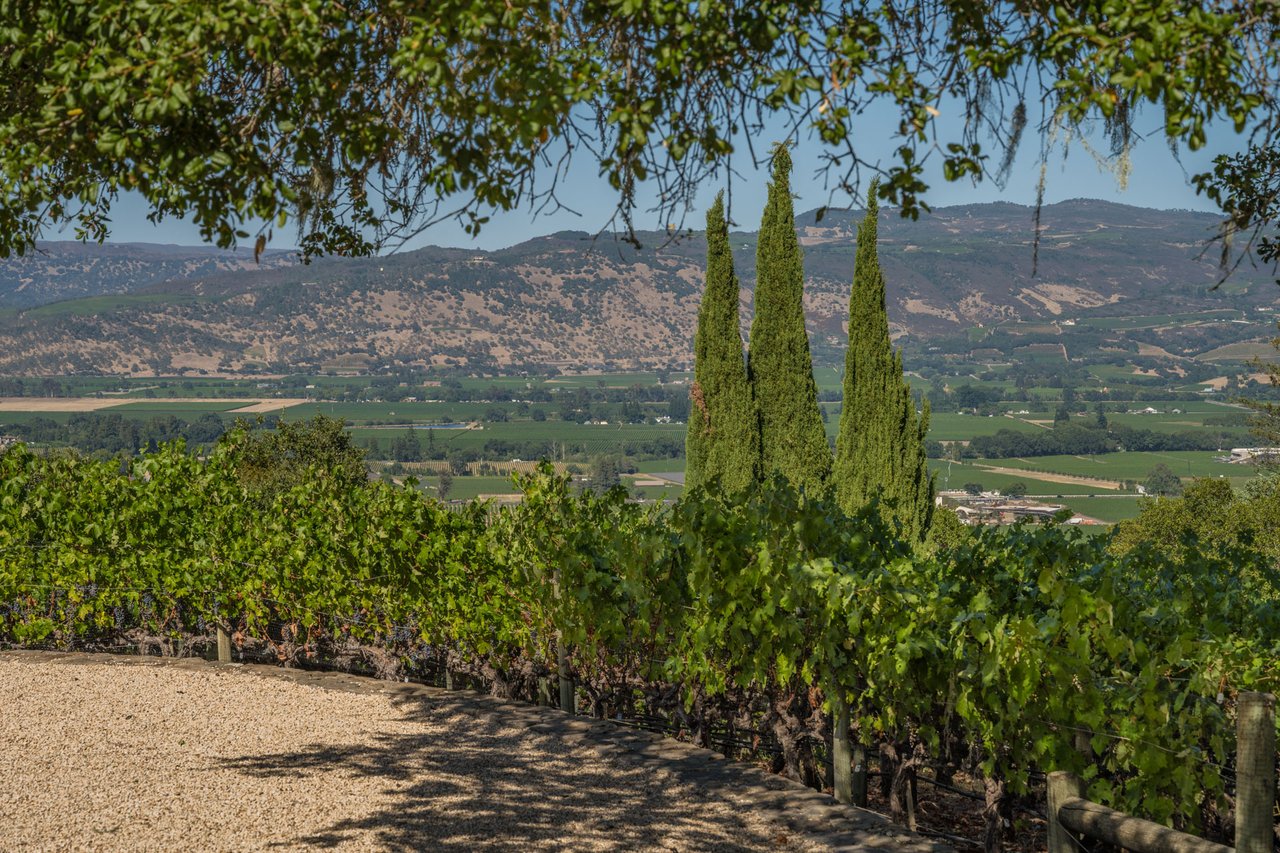 Oakville Vineyard Estate