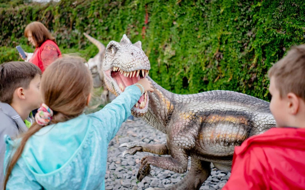 Things to Do in Murfreesboro