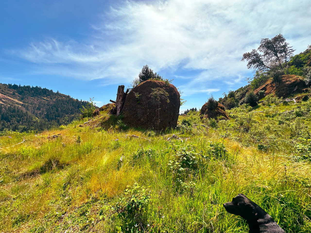 STRICKLAND CANYON HOMESITE