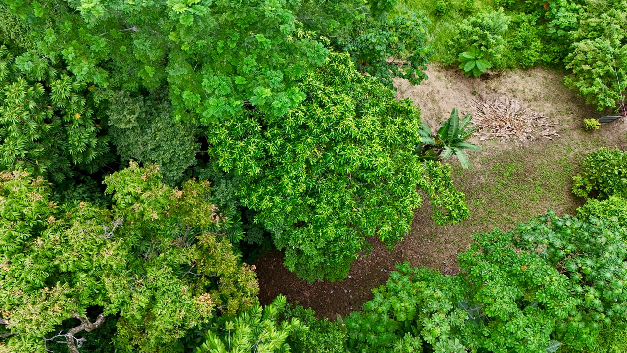 Tres Ríos Jungle Sanctuary | Ready-to-Build Lot Surrounded by Nature