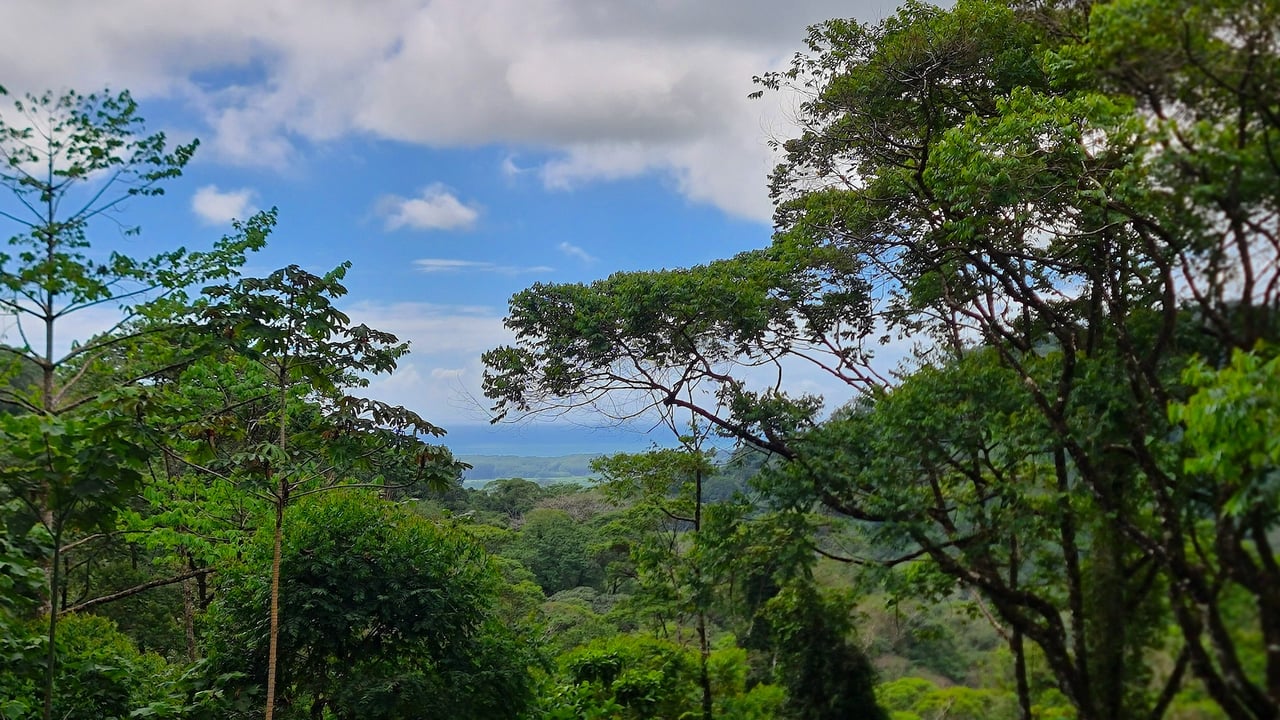 4 Bedroom luxury ocean view home in a Gated Cummunity